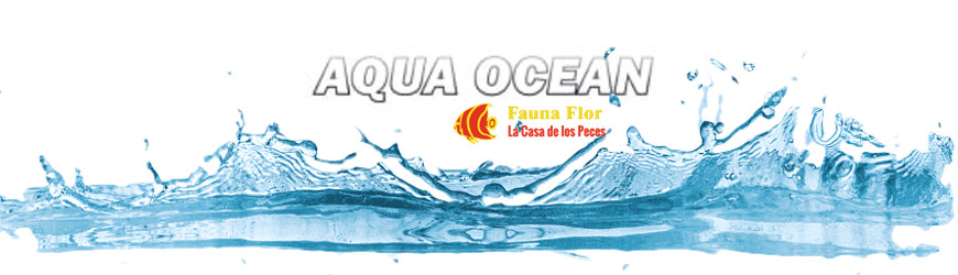 Aqua Ocean