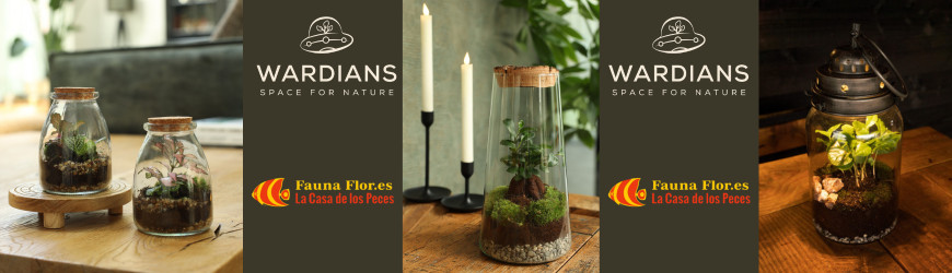 Eco Terrarios Wardians