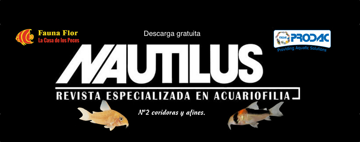 Revista Nautilus N2