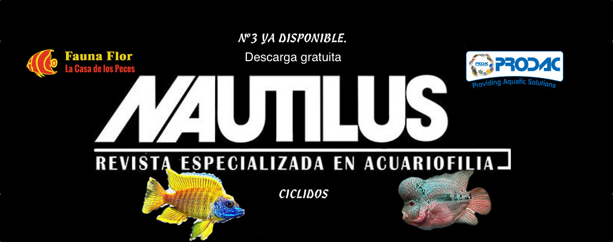 Revista Nautilus N3