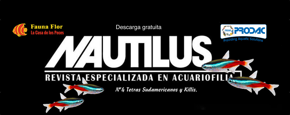 Revista Nautilus N4