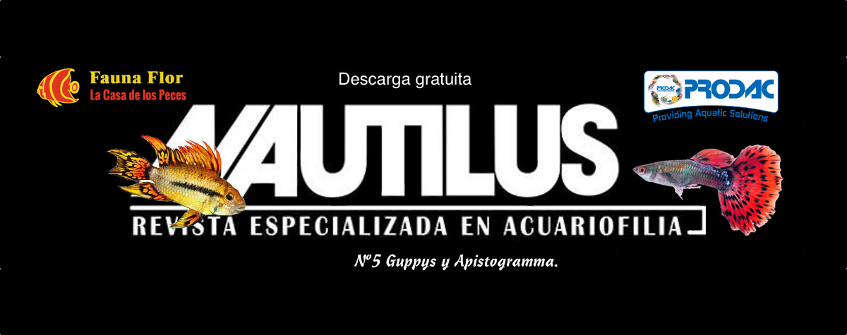 Revista Nautilus N5