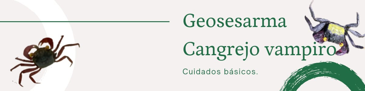 Cuidados Basicos Geosesarma