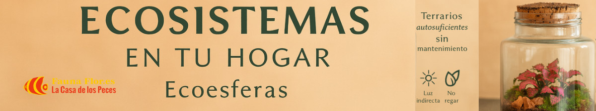  Cuidados de una Ecoesfera