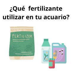 ¿Qué tipo de fertilización utilizar en su acuario?