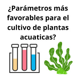 ¿Parámetros  más favorables para el cultivo de plantas acuaticas?