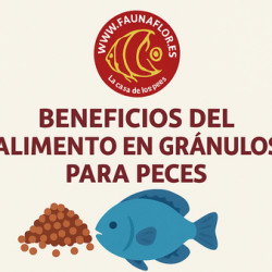 Beneficios del Alimento en Gránulos