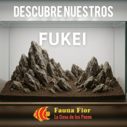Fukeis: Paisajes Artesanales para Acuarios y Terrarios