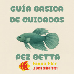 Acondicionador  y Alimentación Bettas
