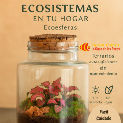  Cuidados de una Ecoesfera