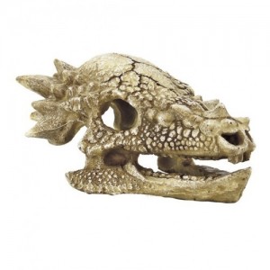 Cráneo T Rex