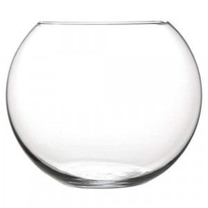 Pecera Cristal 25cm