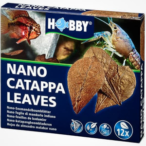 Catappa Leaves Nano