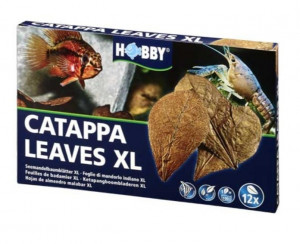  Catappa Leaves XL