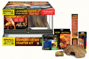 Kit Terrario Inicio Gecko Leopardo
