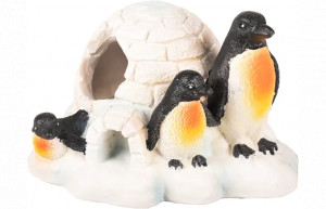 Pinguinos Con Iglú