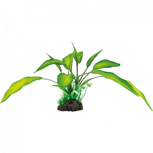 Art Plant Cryptocoryne 25cm