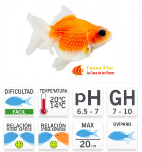 Escama de Perla Ping Pong