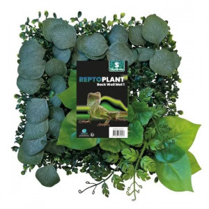Repto Plant Tapiz 1