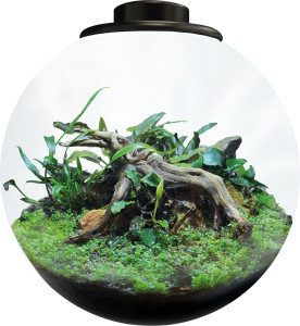 Bio Art  Terrario Bowl 225 Negro
