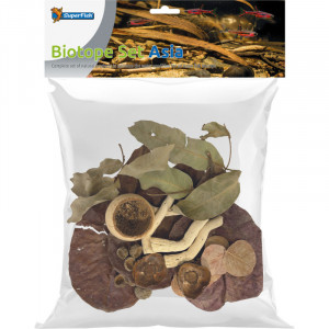 Biotope Set Asia