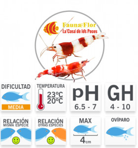 Gamba Cristal Red a/s