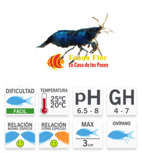 Gamba Azul Diamante