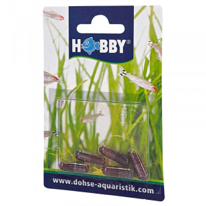 HOBBY  Planaria X Bait