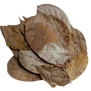 HabiStat Elements Mixed Leaves 30