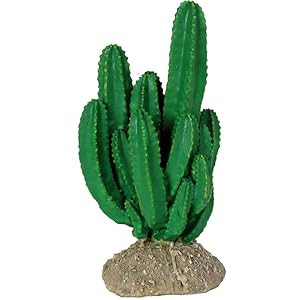 Replica Cactus Surtido Terrario