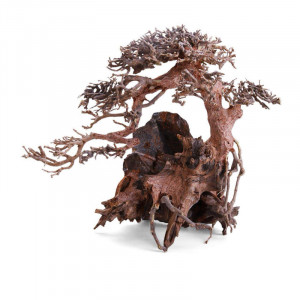 Bonsái De Doble Altura