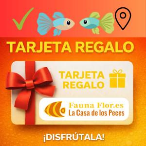 Tarjeta Regalo 20€