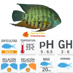 Heros Severum