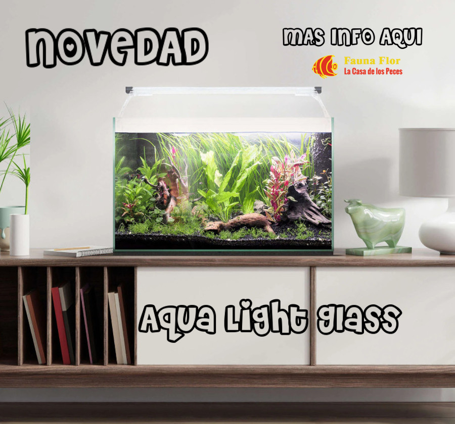 AQUA LIGHT GLASS