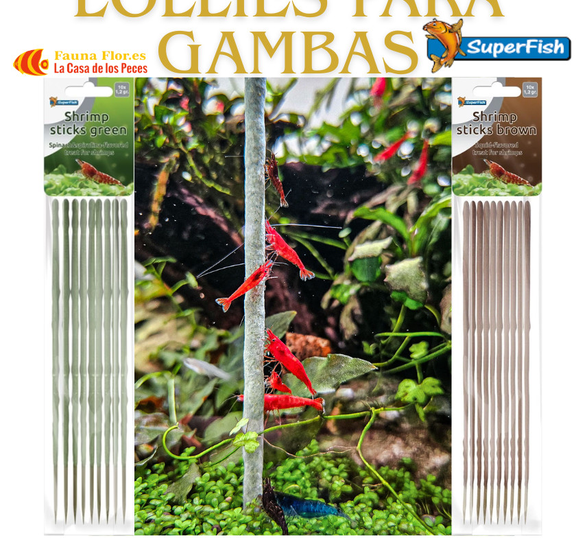 Superfish Lollies para Gambas